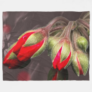 Cobertor De Velo Folheto De Flanco Vermelho E Escuro