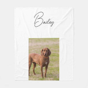 Cobertor De Velo Folheto de Fotografias Personalizadas, Pet Ch Pers