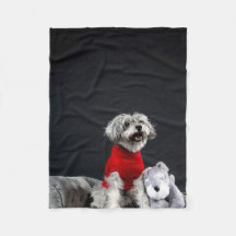 Folheto de Peça Maciça - Pronta e Quente para Cada