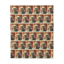 Folheto Quente de Peito Bonito