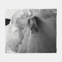 Fotografia Preta e Branca do Daffodil