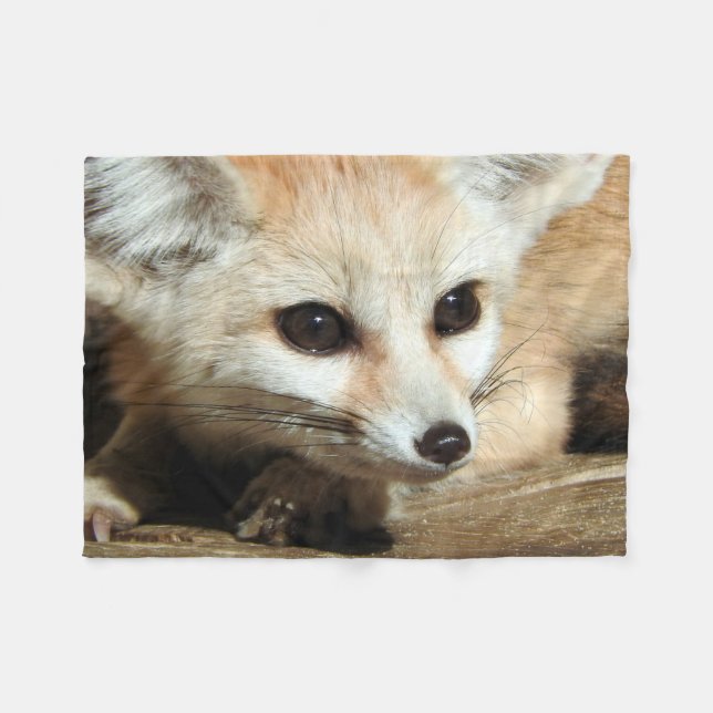 Cobertor De Velo Fox de Fennec (Frente (Horizontal))