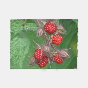 Cobertor De Velo Framboesas Selvagens