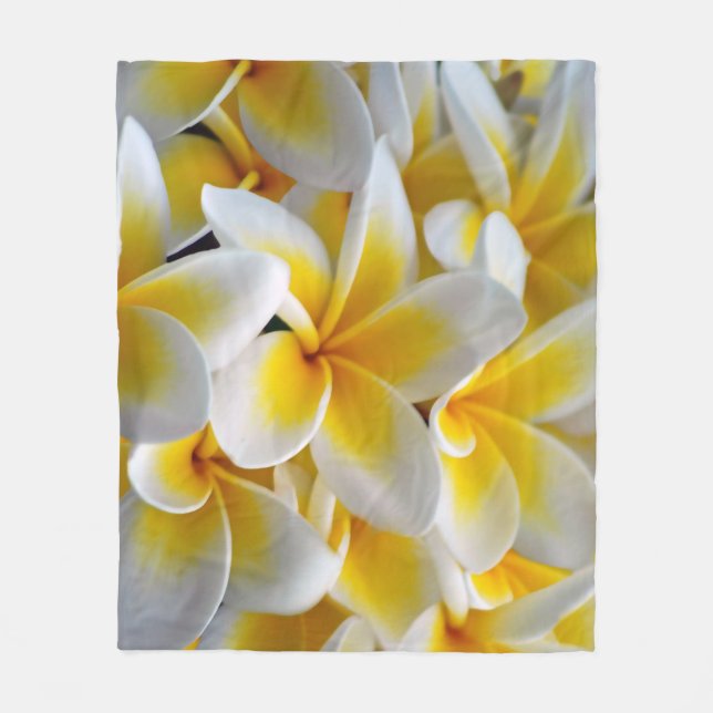Cobertor De Velo Frangipani Plumeria Flower Photo (Frente)