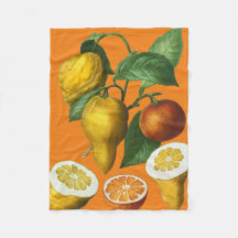 FRUTA CITRUS