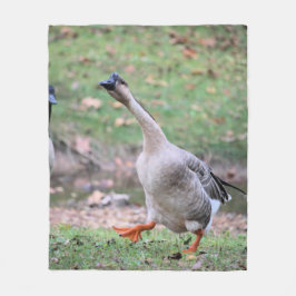 Cobertor De Velo ganso do bobo