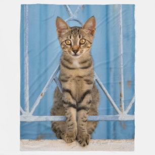 Cobertor De Velo Gatinho Gato de Nosy Bonito Sentado numa Cerca Azu
