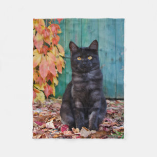 Cobertor De Velo Gatinho Gato Preto Cachorro com Folhas Vermelhas P