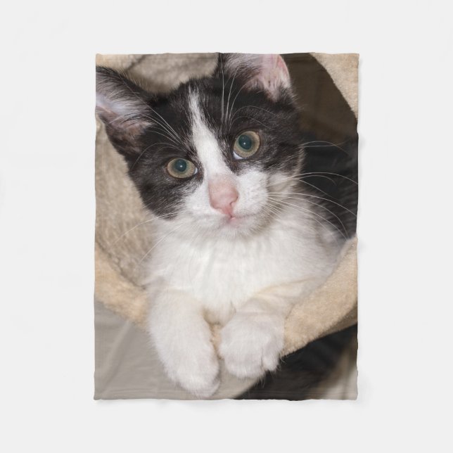 Cobertor De Velo Gatinho preto e branco (Frente)