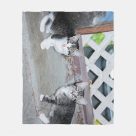 Cobertor De Velo Gatinhos