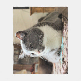 Cobertor De Velo Gato