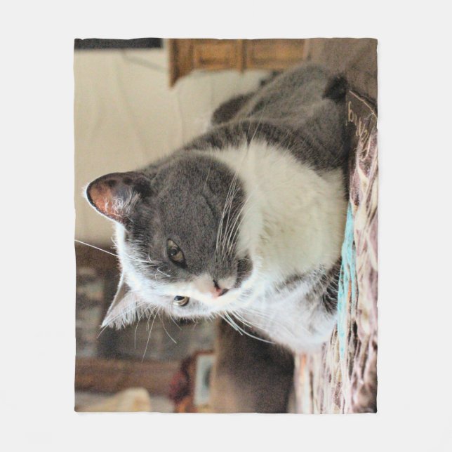 Cobertor De Velo Gato (Frente)