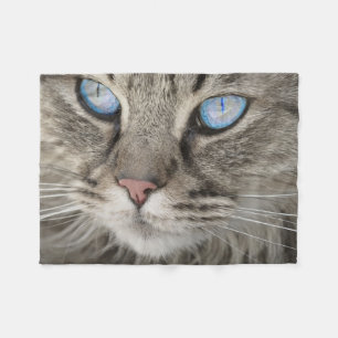 Cobertor De Velo Gato Bonito Close-up
