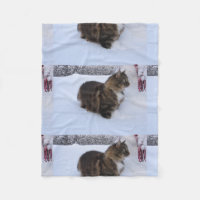 gato floresta norueguesa na neve