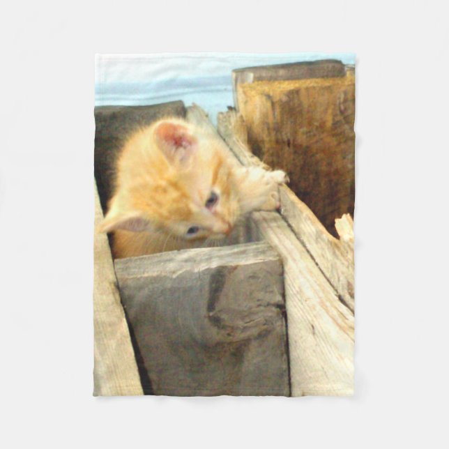 Cobertor De Velo Gatos De Meia 1 Folha (Frente)
