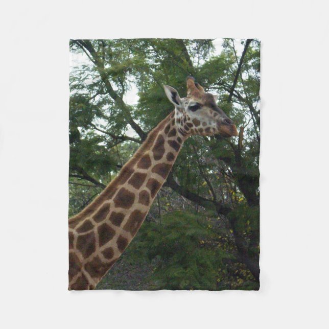 Cobertor De Velo Giraffe Adventure, Pequeno (Frente)