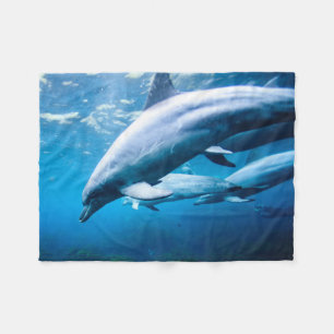 Cobertor De Velo Golfinhos subaquáticos