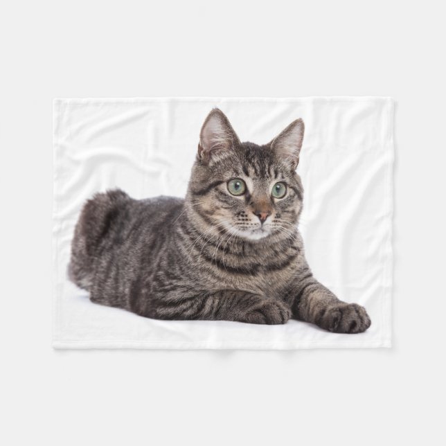 Cobertor De Velo Gray Tabby Cat (Frente (Horizontal))