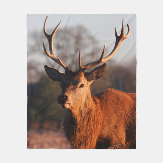 COBERTOR DE VELO HI DEER (Frente)