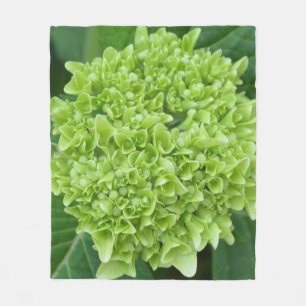 Cobertor De Velo Hidrangea verde