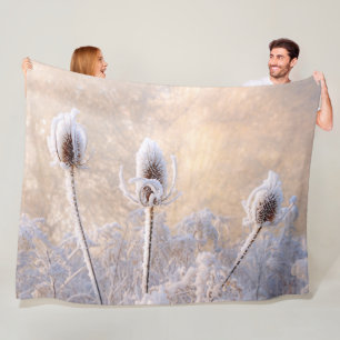 Cobertor De Velo Hoarfrost Teasels in Winter a Photo Scenique Natur