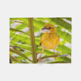 Cobertor De Velo Hora de construir o ninho