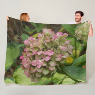 Cobertor De Velo Hortênsia de Outono Floresce com Folhas de Hosta D