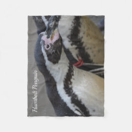 Cobertor De Velo Humbolt Penguin no Zoo Drusillas em East Sussex Mã