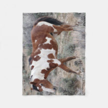 Ícone de Picasso da bacia de lavagem da areia,