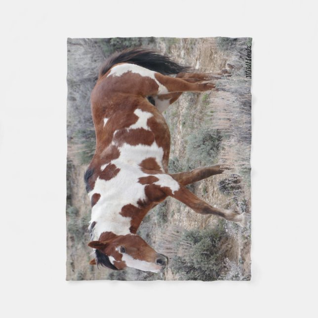 Cobertor De Velo Ícone de Picasso da bacia de lavagem da areia, (Frente)