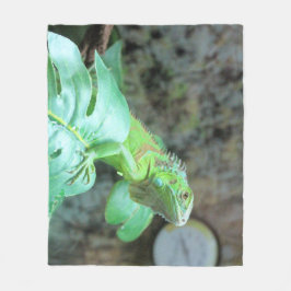Cobertor De Velo iguana verde