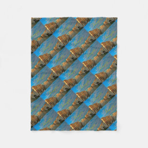 Cobertor De Velo Impressionante! Venezia Grande Canal Veneza - Foto