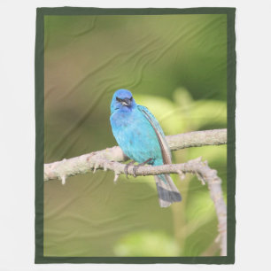Cobertor De Velo Indigo Bunting