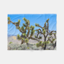 Cobertor De Velo Joshua Tree na Califórnia