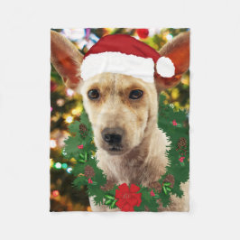 Cobertor De Velo Joy para o Puppy