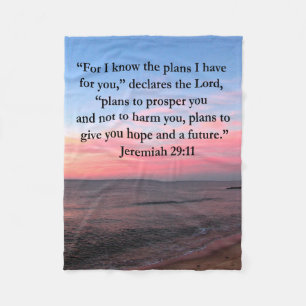 COBERTOR DE VELO JOYFUL JEREMIAH 29:11 SOL