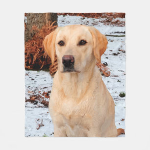 Cobertor De Velo Labrador Amarelo - Cão-Neve - Laboratório Amarel