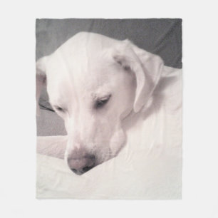 Cobertor De Velo Labrador Branco Cachorro Branco Cachorro Mistura C