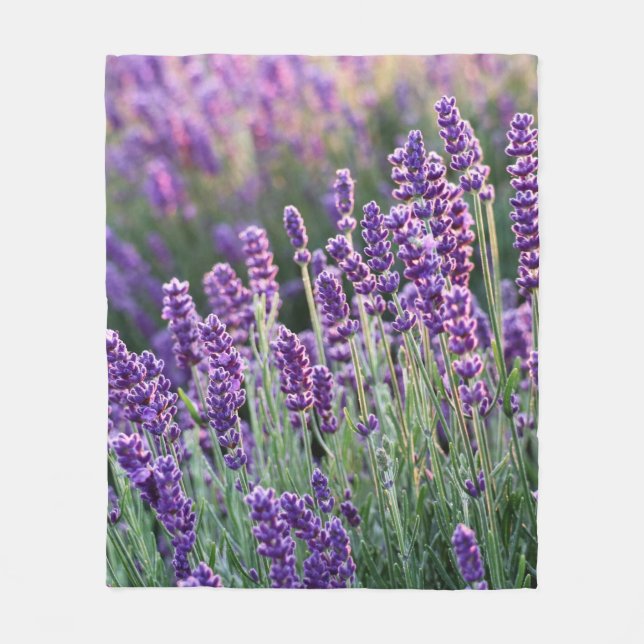 Cobertor De Velo Lavanda Lusciosa (Frente)