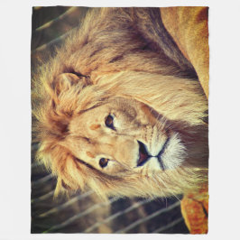 Cobertor De Velo Leão