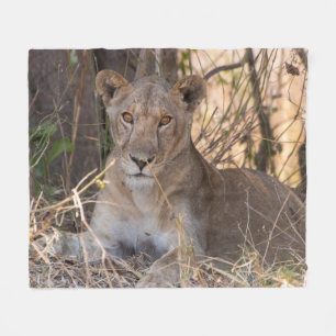 Cobertor De Velo Leão de Leão Feminino