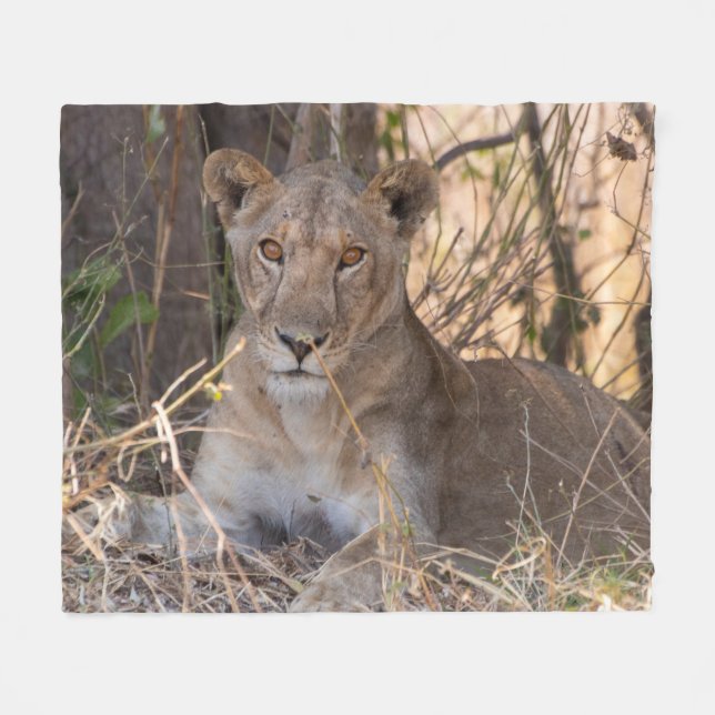 Cobertor De Velo Leão de Leão Feminino (Frente (Horizontal))