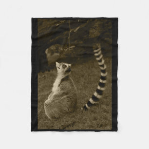 Cobertor De Velo Lemur Tail Valencia Tint Vinheta Vertical