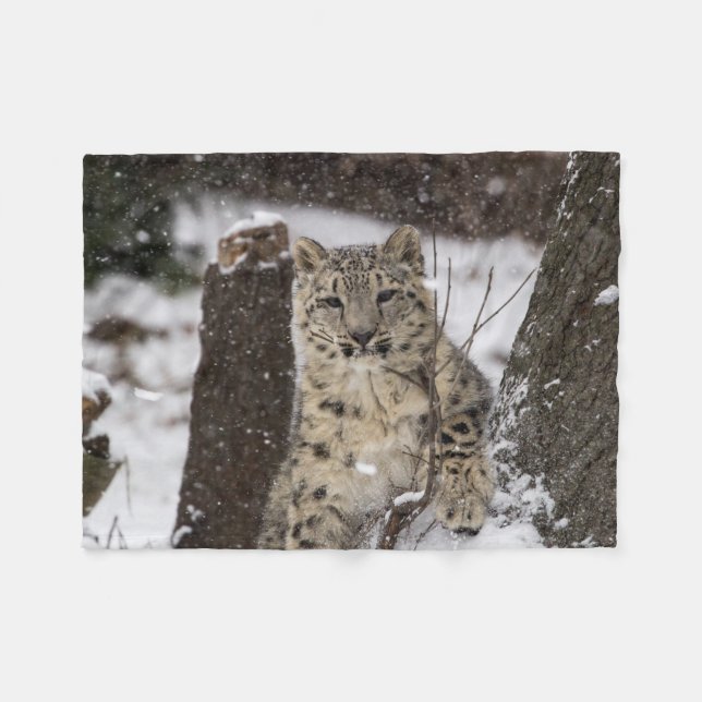 Cobertor De Velo Leopardo de neve Cub (Frente (Horizontal))