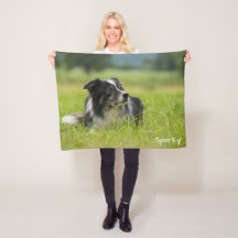 Lindo Border Collie com Nome Personalizado