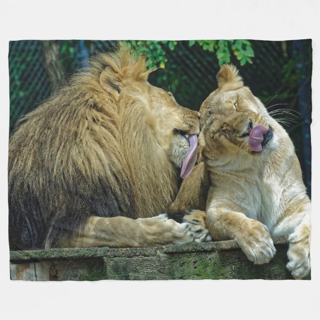 COBERTOR DE VELO LION AMOR (Frente (Horizontal))