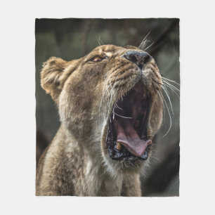 COBERTOR DE VELO LIONESS YAWNING