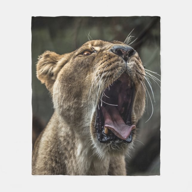 COBERTOR DE VELO LIONESS YAWNING (Frente)