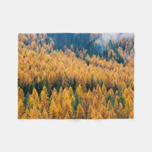 Cobertor De Velo Luz da manhã na praia Ilha Tybee