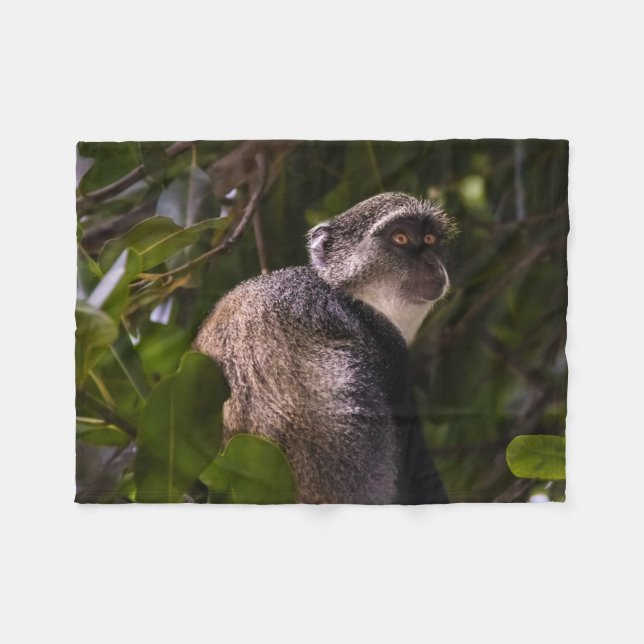 Cobertor De Velo Macaco azul, Zanzibar (Frente (Horizontal))